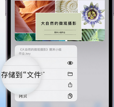 兴国apple维修中心分享iPhone文件应用中存储和找到下载文件