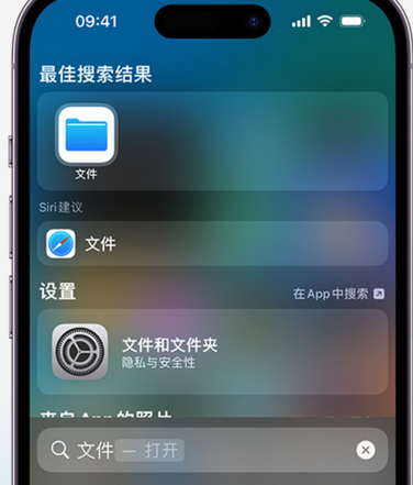 兴国apple维修中心分享iPhone文件应用中存储和找到下载文件