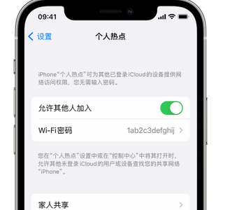 兴国apple服务站点分享iPhone上个人热点丢失了怎么办 