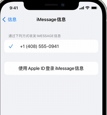 兴国apple维修iPhone上无法正常发送iMessage信息 