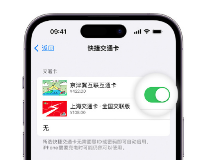 兴国apple维修点分享iPhone上更换Apple Pay快捷交通卡手绘卡面 