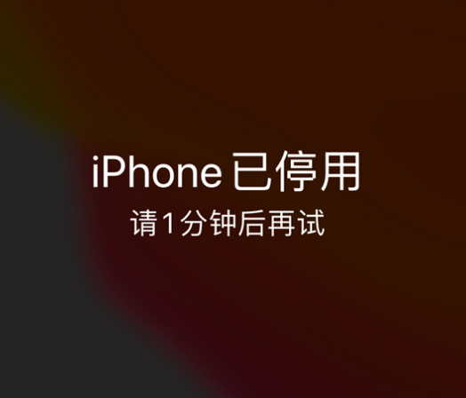 兴国苹果手机维修分享:iPhone 显示“不可用”或“已停用”怎么办？还能保留数据吗？ 