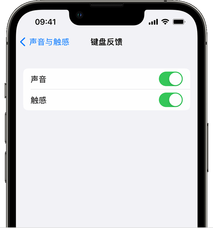 兴国苹果14维修店分享如何在 iPhone 14 机型中使用触感键盘 