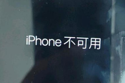 兴国苹果服务网点分享锁屏界面显示“iPhone 不可用”如何解决 