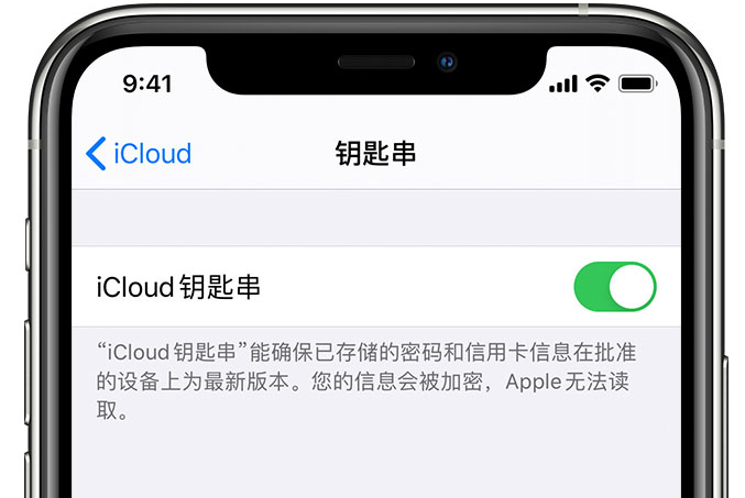 兴国苹果手机维修分享在 iPhone 上开启 iCloud 钥匙串之后会储存哪些信息 