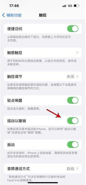 兴国苹果手机维修分享iPhone手机如何设置摇一摇删除文字 